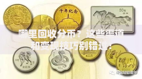 哪里回收分币？这些渠道和变现技巧别错过！