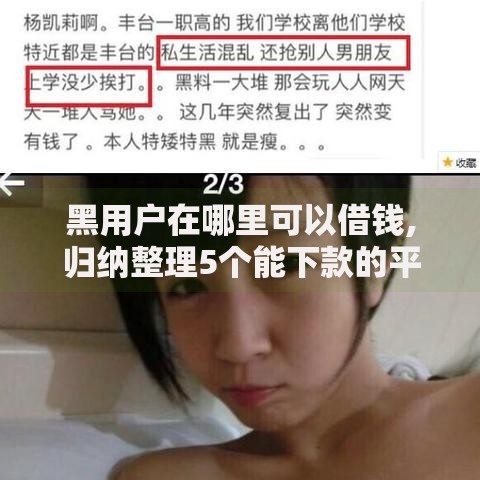 黑用户在哪里可以借钱,归纳整理5个能下款的平台