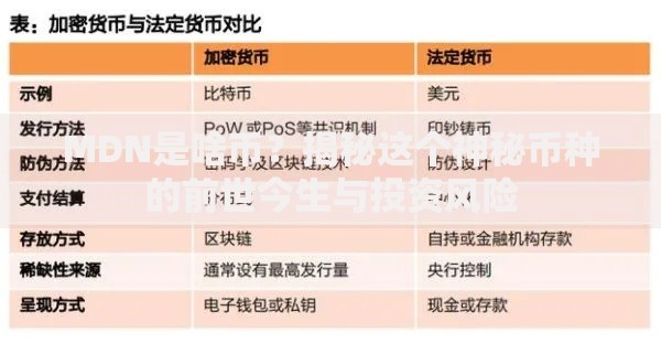 MDN是啥币？揭秘这个神秘币种的前世今生与投资风险