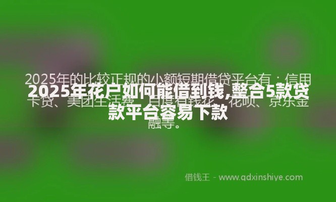 2025年花户如何能借到钱,整合5款贷款平台容易下款