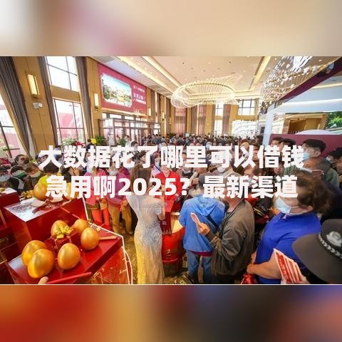 大数据花了哪里可以借钱急用啊2025？最新渠道解析