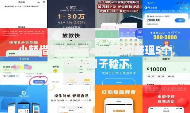 小额借款500元app,归纳整理5个1000口子秒下