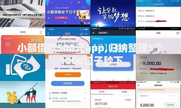 小额借款500元app,归纳整理5个1000口子秒下