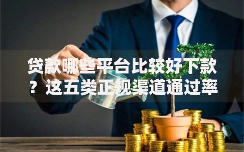 贷款哪些平台比较好下款？这五类正规渠道通过率高