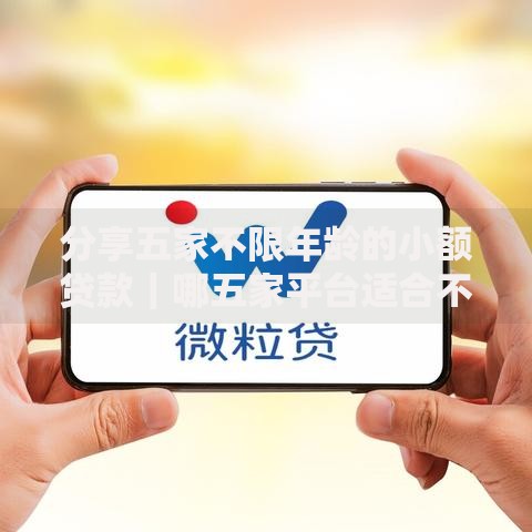 分享五家不限年龄的小额贷款｜哪五家平台适合不同年龄层？