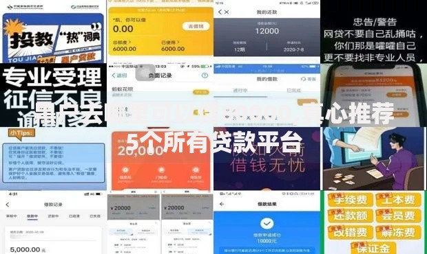 黑户去哪里可以借80000,真心推荐5个所有贷款平台