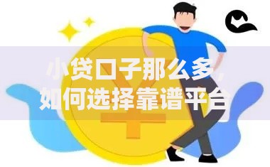 小贷口子那么多，如何选择靠谱平台？