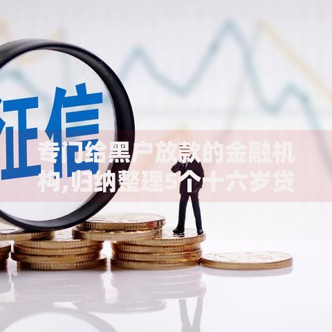 专门给黑户放款的金融机构,归纳整理5个十六岁贷款平台