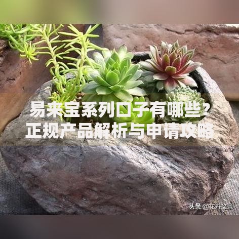 易来宝系列口子有哪些?正规产品解析与申请攻略 易来宝系列口子有哪些?正规产品解析与申请攻略