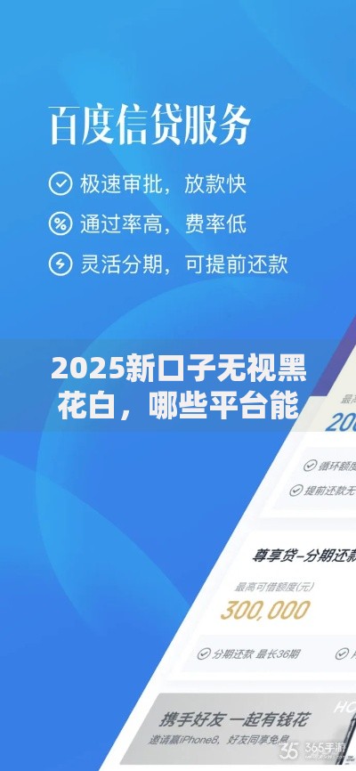 2025新口子无视黑花白，哪些平台能快速放款？