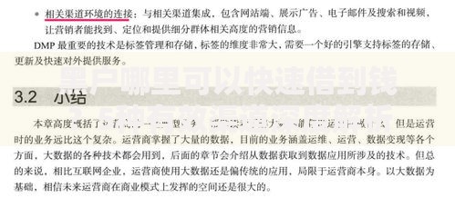 黑户哪里可以快速借到钱？5种有效渠道深度解析