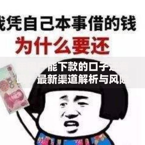 年黑户能下款的口子还有吗？最新渠道解析与风险警示