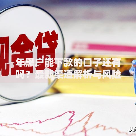 年黑户能下款的口子还有吗？最新渠道解析与风险警示