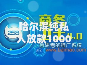 哈尔滨纯私人放款10000联系,整合5款黑户了还有平台放款吗