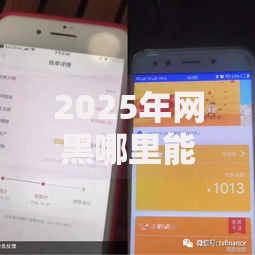2025年网黑哪里能快速借到钱,全网收集5个黑户有没有借钱的平台