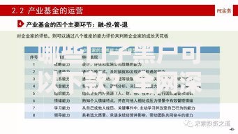 哪些口子黑户可以下款？全网深度解析渠道与风险