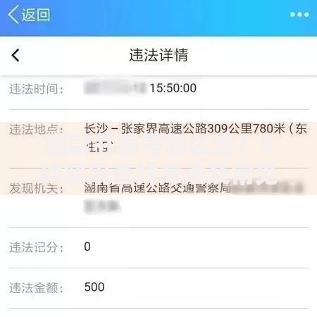 缴款书编号怎么查？5种实用查找方法及常见问题解答