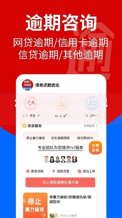 怎么查逾期的详细记录,精心分析5款手机号贷款平台