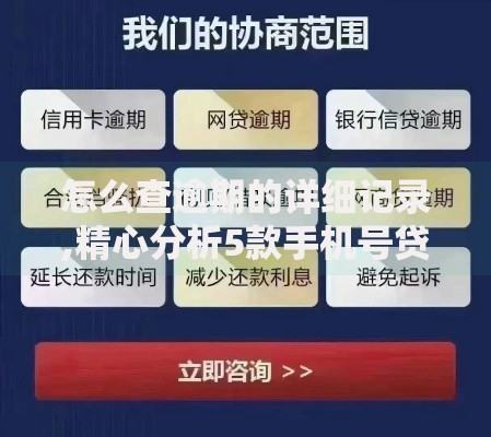 怎么查逾期的详细记录,精心分析5款手机号贷款平台