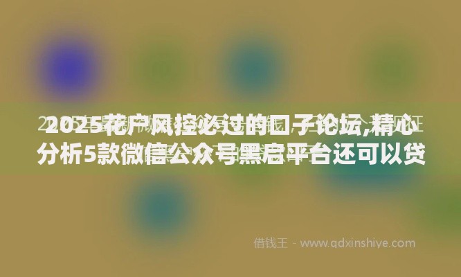 2025花户风控必过的口子论坛,精心分析5款微信公众号黑启平台还可以贷款
