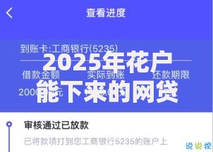 2025年花户能下来的网贷,隆重介绍5个17岁能贷款的平台