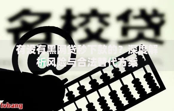 有没有黑网贷秒下款的？深度解析风险与合法替代方案