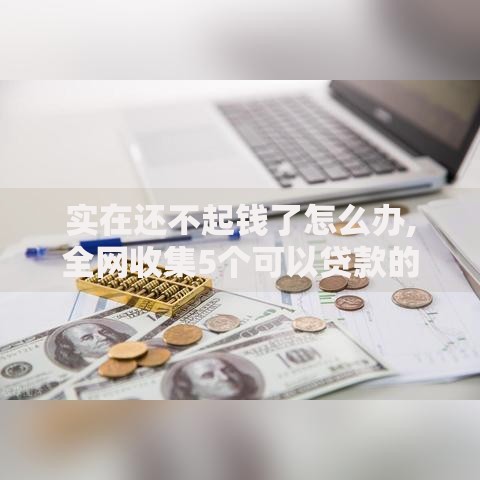 实在还不起钱了怎么办,全网收集5个可以贷款的平台