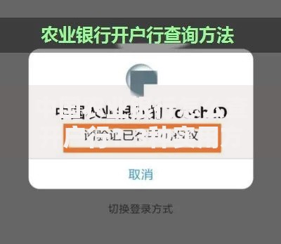 中国农业银行怎么查开户行?3种实用方法一学就会 中国农业银行怎么查开户行?3种实用方法一学就会