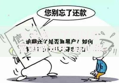 丈夫黑户了可以办离婚吗知乎,真心推荐5个平台最好借钱