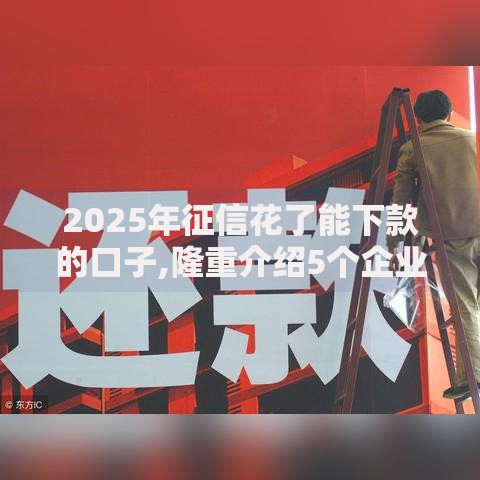 2025年征信花了能下款的口子,隆重介绍5个企业贷款平台好