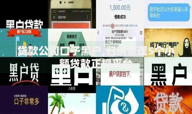 贷款公司口子黑户,归纳整理5个小额贷款正规平台