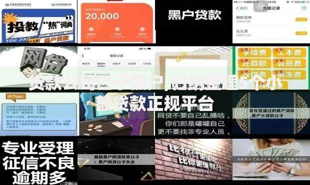 贷款公司口子黑户,归纳整理5个小额贷款正规平台