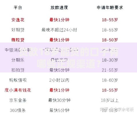 贷款18岁能贷的口子有哪些正规渠道？