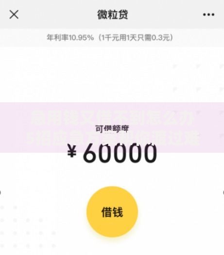 急用钱又借不到怎么办5招应急方案帮你渡过难关