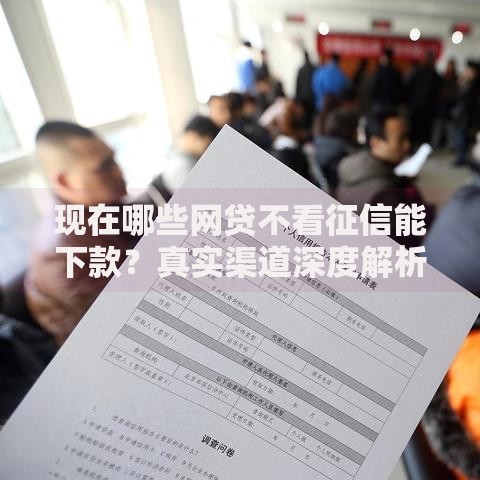 现在哪些网贷不看征信能下款？真实渠道深度解析