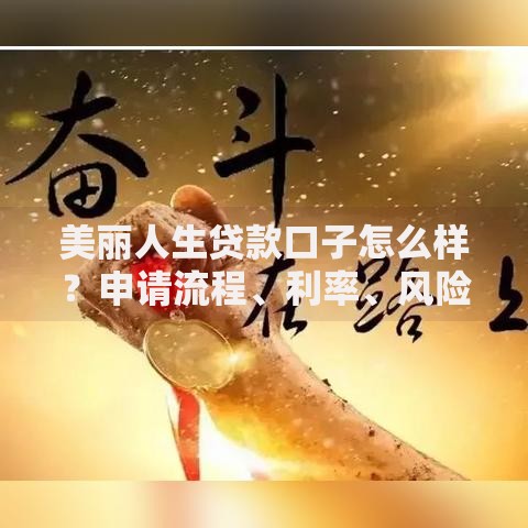 美丽人生贷款口子怎么样？申请流程、利率、风险全面解析