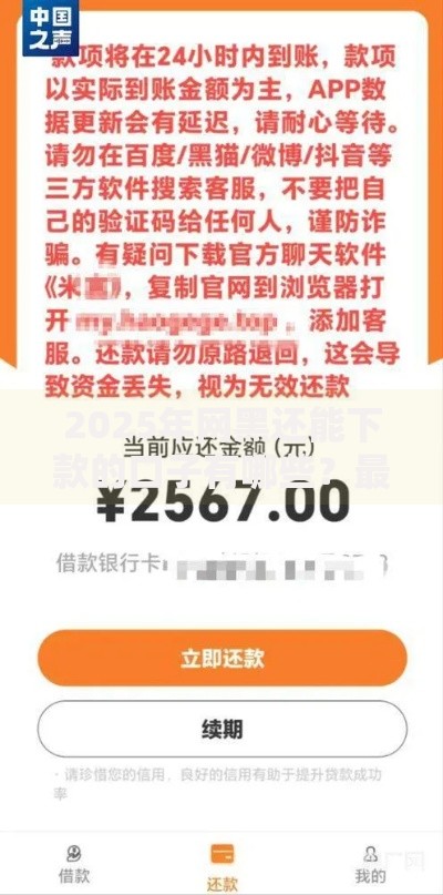 2025年网黑还能下款的口子有哪些？最新解析与申请指南