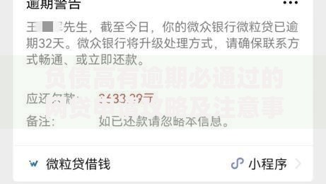 负债高有逾期必通过的网贷申请攻略及注意事项