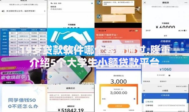 19岁贷款软件哪个容易通过,隆重介绍5个大学生小额贷款平台