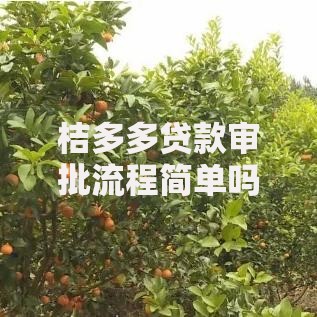 桔多多贷款审批流程简单吗？资质要求与时效深度解析