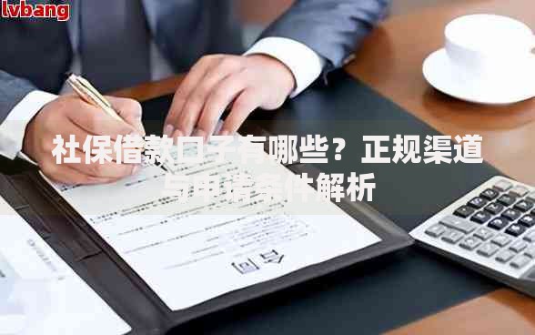 社保借款口子有哪些？正规渠道与申请条件解析