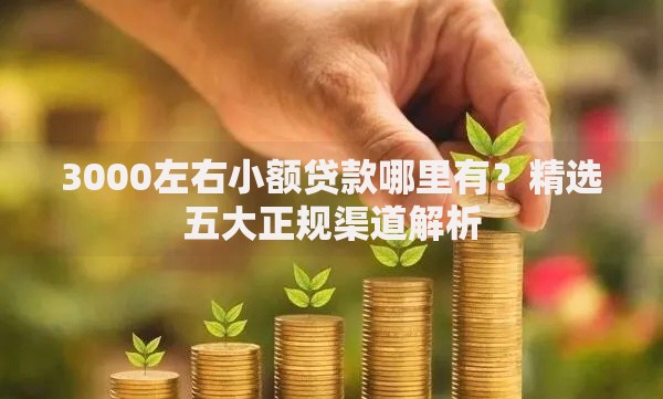 3000左右小额贷款哪里有？精选五大正规渠道解析