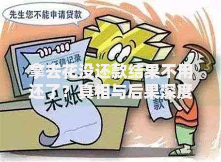 拿去花没还款结果不用还了？真相与后果深度解析