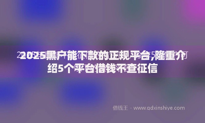 2025黑户能下款的正规平台,隆重介绍5个平台借钱不查征信