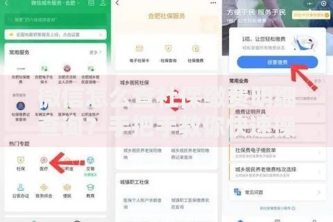 微信怎么查社保缴费明细查询？手把手教你快速操作