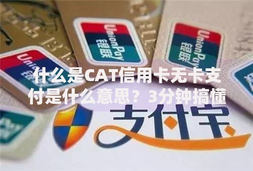 什么是CAT信用卡无卡支付是什么意思？3分钟搞懂无卡消费新姿势