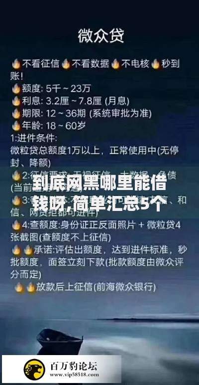 到底网黑哪里能借钱呀,简单汇总5个网贷平台不看征信最好下款