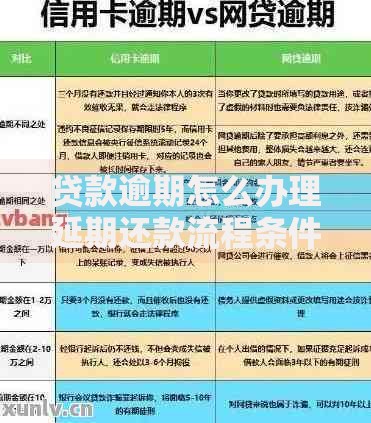 贷款逾期怎么办理延期还款流程条件政策详解