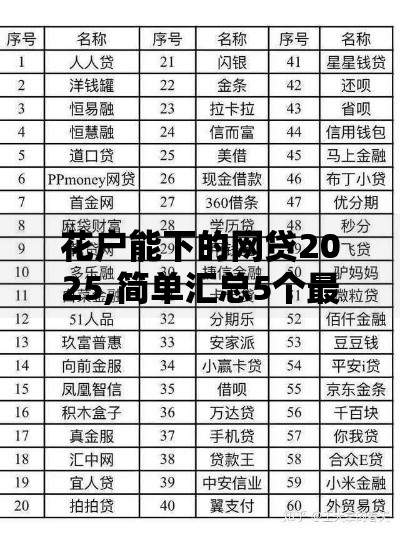 花户能下的网贷2025,简单汇总5个最容易下款的网贷平台