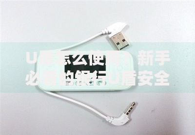 U盾怎么使用？新手必看的银行U盾安全操作指南